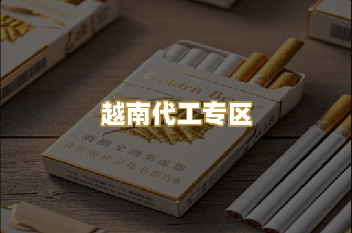 越南代工专区